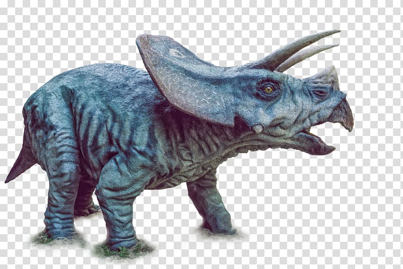 Triceratops Tyrannosaurus Spinosaurus Dinosaurs Pack Late Cretaceous, dinosaur transparent background PNG clipart