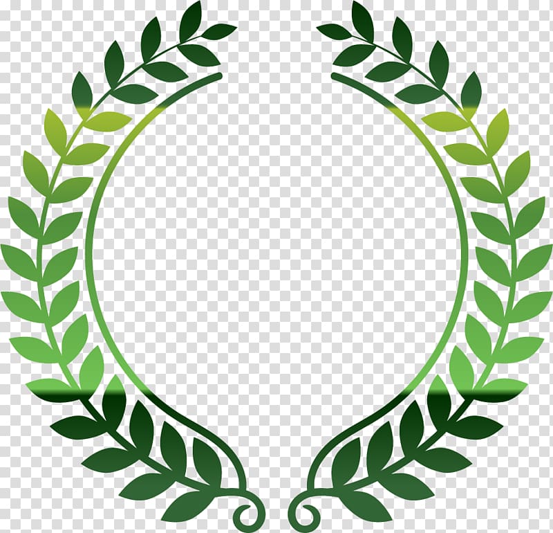 green olive branch border transparent background PNG clipart