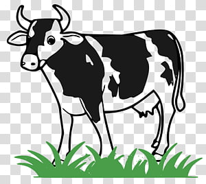 Back At The Barnyard Slop Bucket Games Abby The Cow Nickelodeon Youtube Cattle Youtube Transparent Background Png Clipart Hiclipart - mad cow roblox cow png image transparent png free