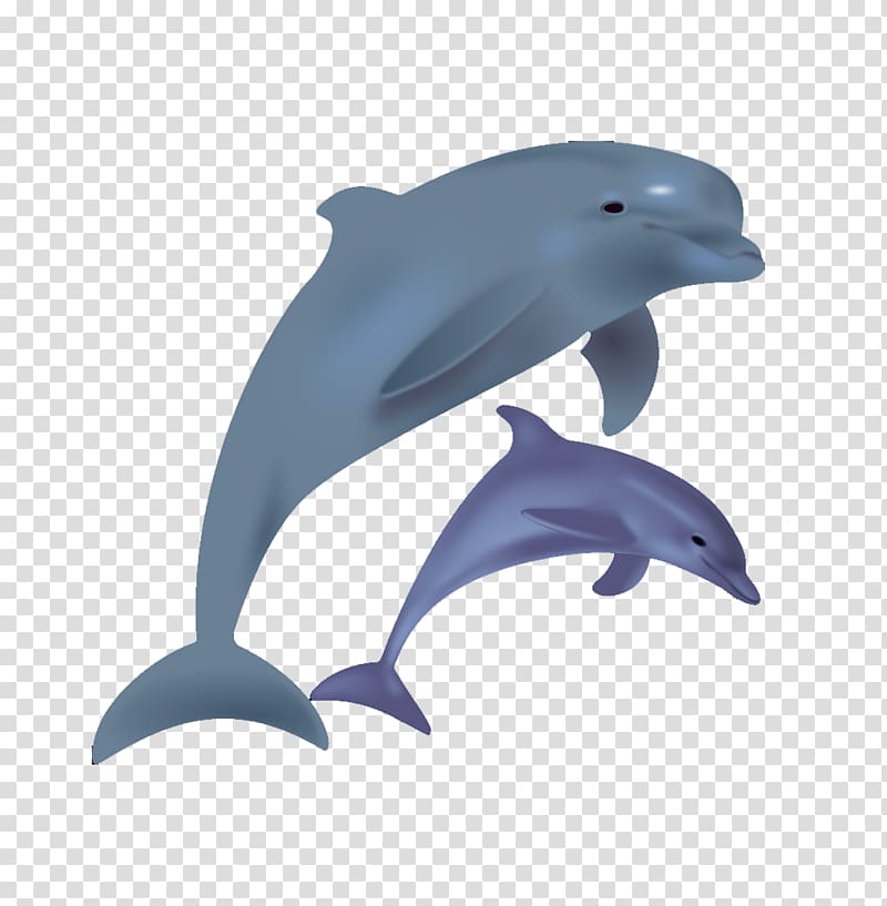 Bottlenose dolphin , Cartoon dolphins jump transparent background PNG clipart