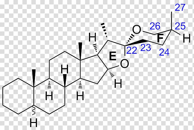 Deflazacort Steroid Estetrol Pharmaceutical drug Beclometasone dipropionate, organization structure transparent background PNG clipart