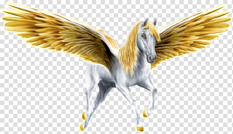 Horse Medusa Pegasus Winged unicorn, horse transparent background PNG clipart