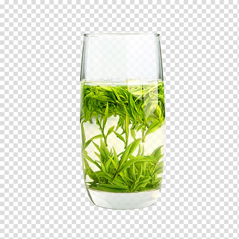 Green tea Huangshan Maofeng Flowering tea White tea, green tea transparent background PNG clipart