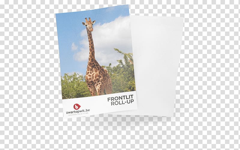 Giraffe Brand, Rollup Banner transparent background PNG clipart