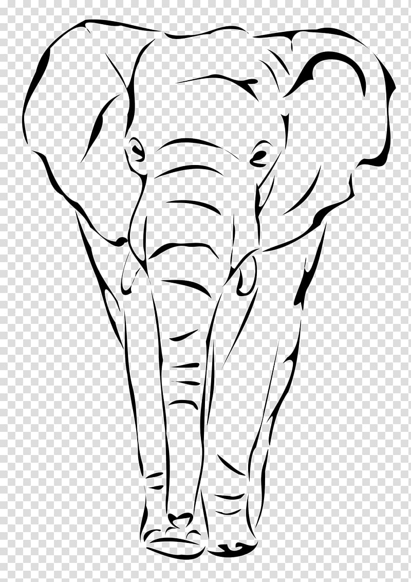 Indian elephant Drawing Face , elephant drawing transparent background PNG clipart