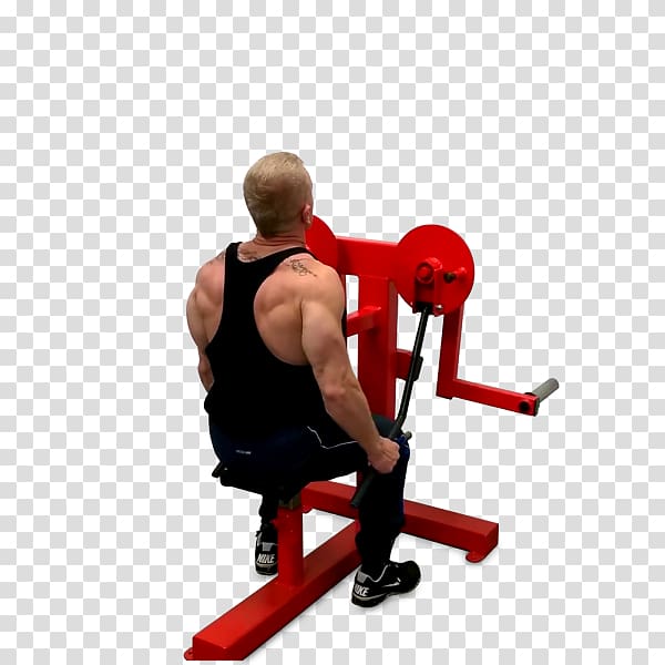 Weight training Rear delt raise Fly Overhead press Exercise equipment, fly transparent background PNG clipart