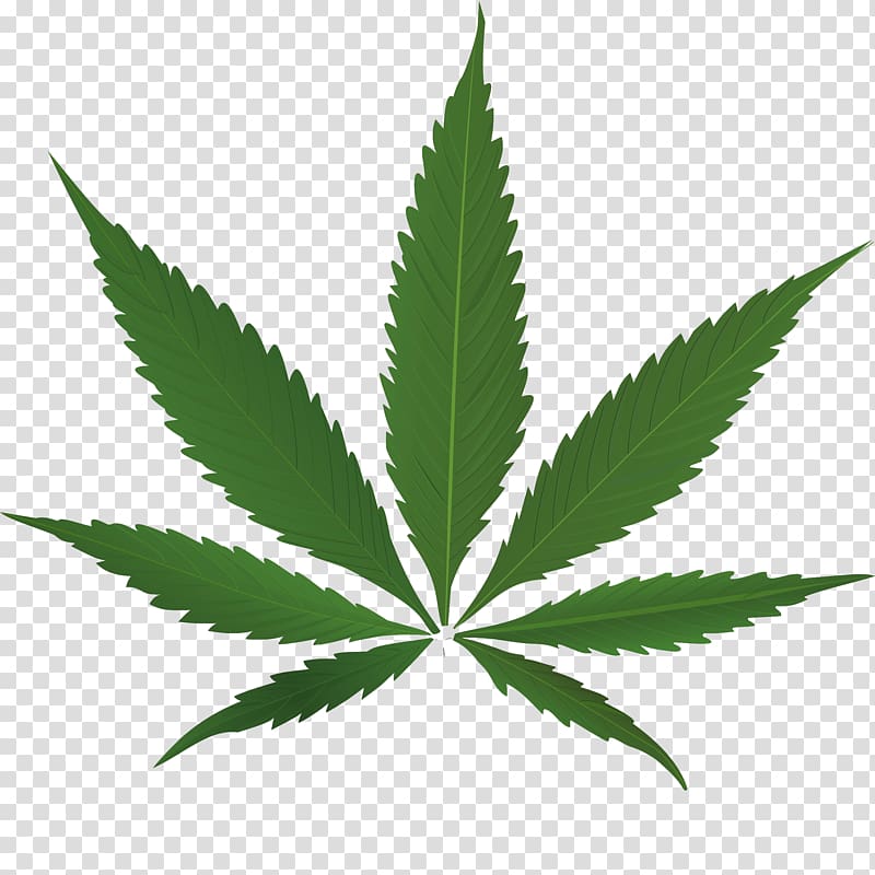 Medical cannabis , illegal drugs transparent background PNG clipart