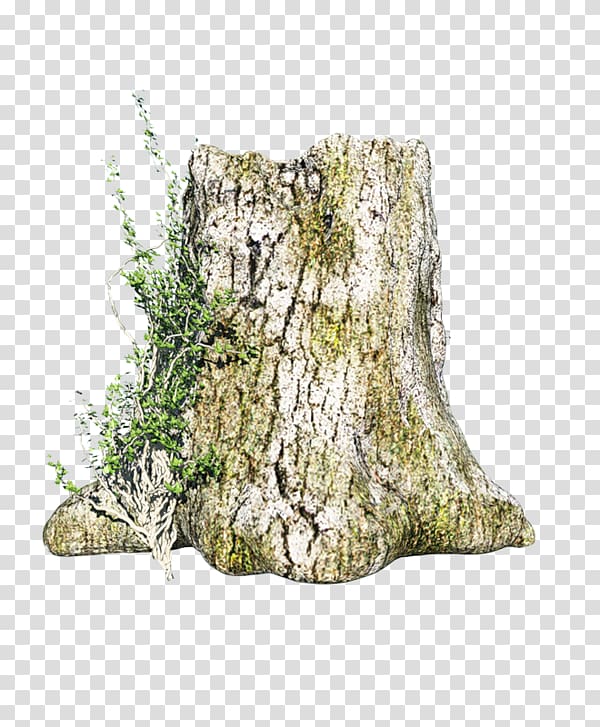 Trunk Wood Tree Pine Leaf, wood transparent background PNG clipart