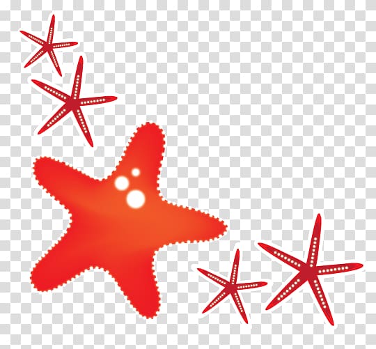 Starfish Red , red starfish transparent background PNG clipart