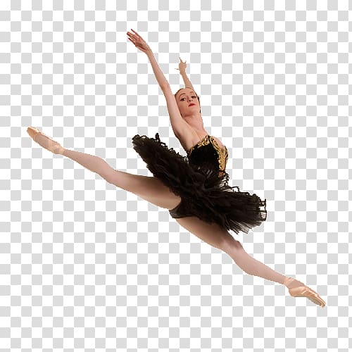 Ballet Dancer Ballet Dancer Swan Lake American Ballet Theatre, dance transparent background PNG clipart