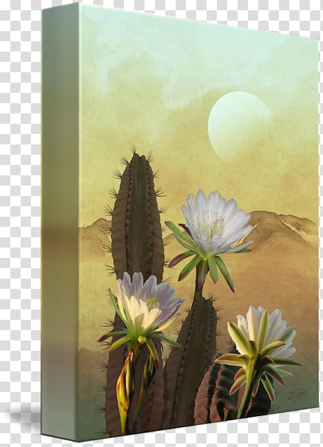 Cactaceae Cereus repandus Cactus wren United States Art, cactus flower transparent background PNG clipart