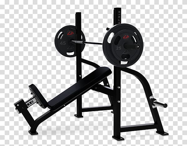 Bench Olympic Games Fitness Centre Fly Dumbbell, fitness equipment transparent background PNG clipart