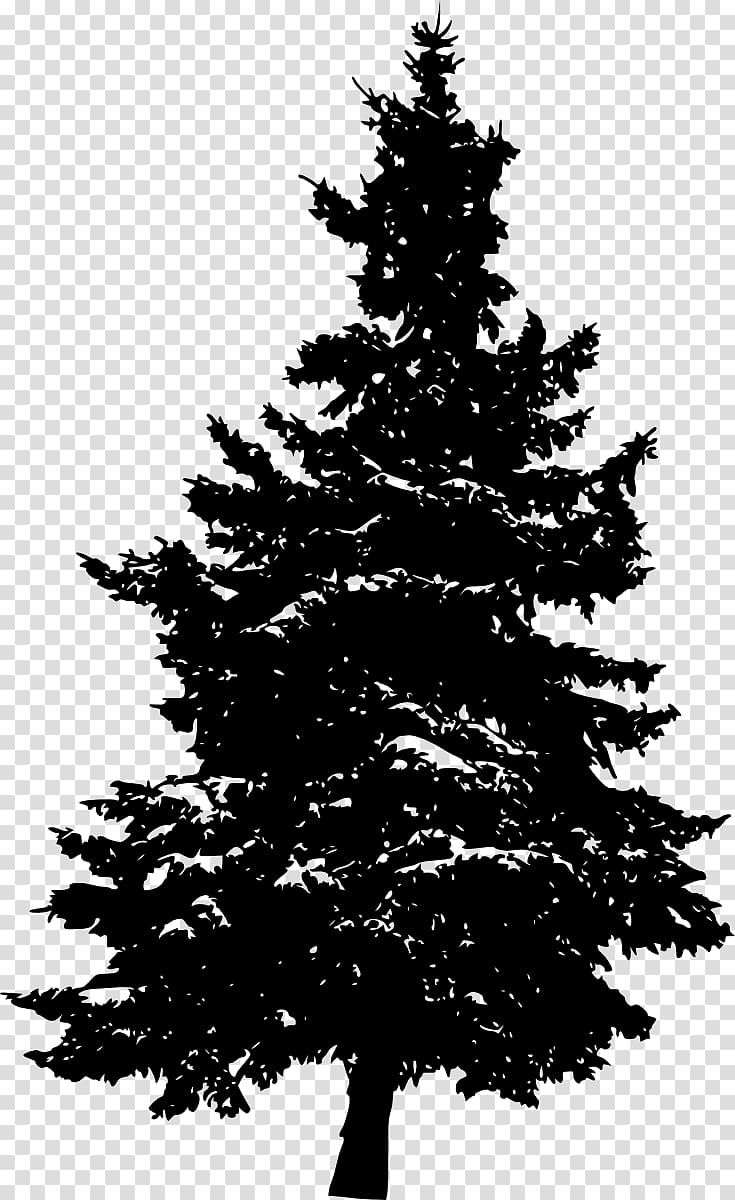 Pine Silhouette Fir Tree, pine tree transparent background PNG clipart
