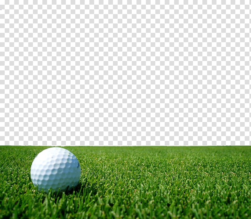 Augusta National Golf Club Golf course Display resolution , Golf on the lawn transparent background PNG clipart