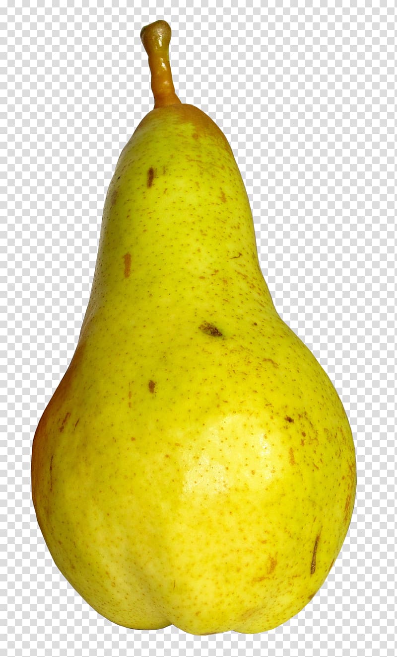 European pear Kiwifruit Food, pear transparent background PNG clipart