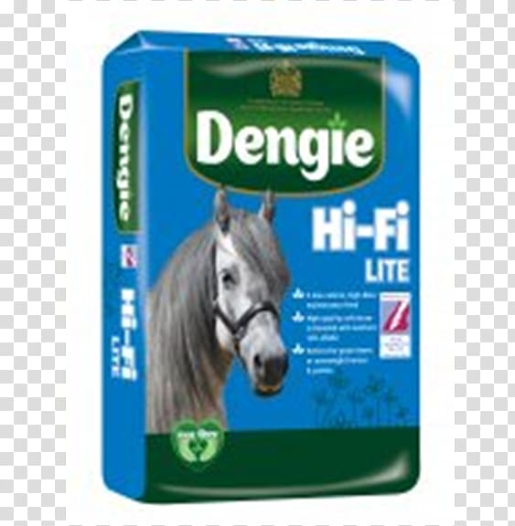 Horse Dengie High fidelity Pony Easy keeper, horse transparent background PNG clipart