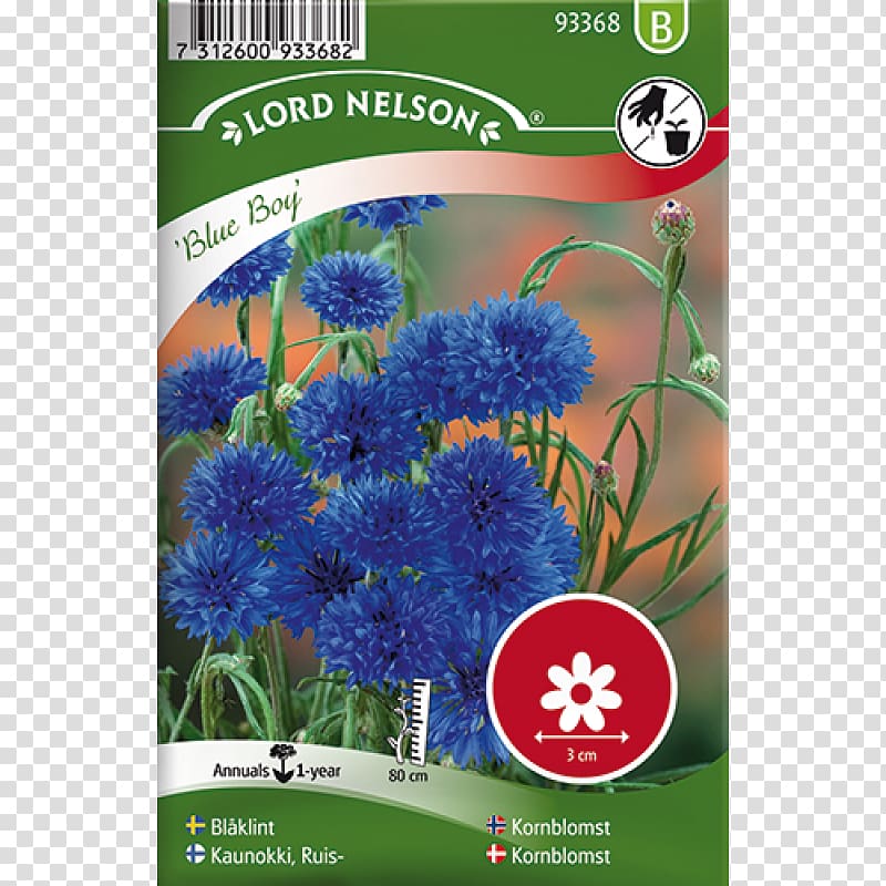 Cornflower Seed Marigold Annual plant, Centaurea cyanus transparent background PNG clipart