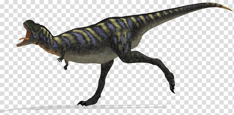 Aucasaurus Tarascosaurus Abelisaur Giganotosaurus Dinosaur, dinosaur transparent background PNG clipart