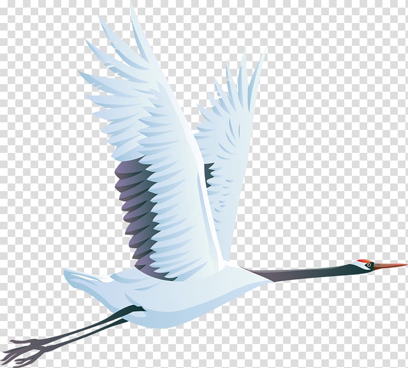 Bird Red-crowned crane , Bird transparent background PNG clipart