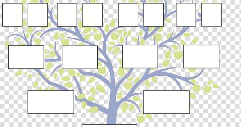 Family tree Stepfamily Genealogy Extended family, Family transparent background PNG clipart