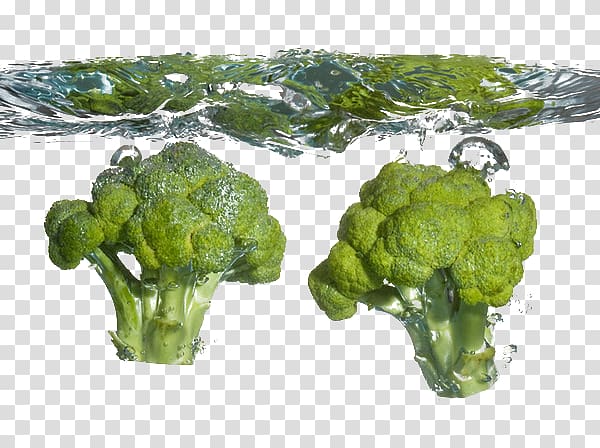 Broccoli Cauliflower Food Cabbage Vegetable, Broccoli into the water transparent background PNG clipart