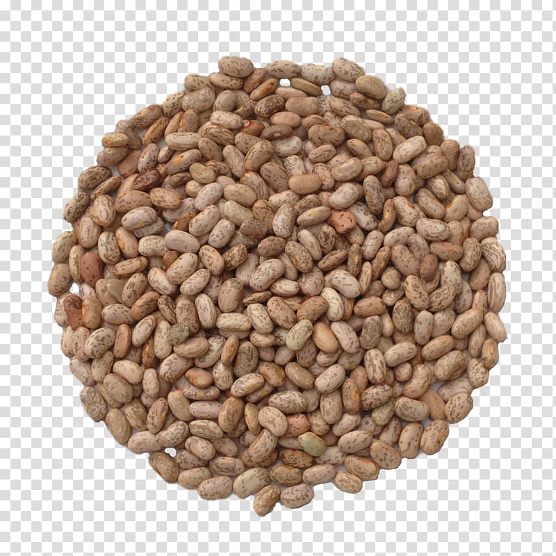 Refried beans Common Bean Seed Nut Soybean, white rose transparent background PNG clipart