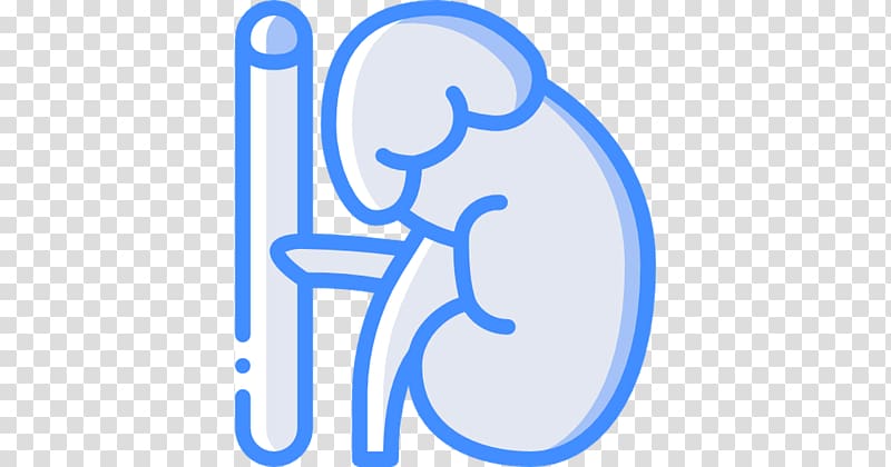 Adrenal gland Adrenal fatigue Logo Unsplash Health, adrenal gland cartoon transparent background PNG clipart