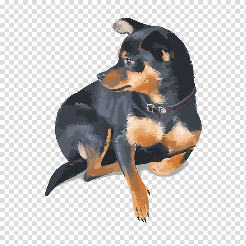 Miniature Pinscher Rottweiler Pet, pet dog transparent background PNG clipart