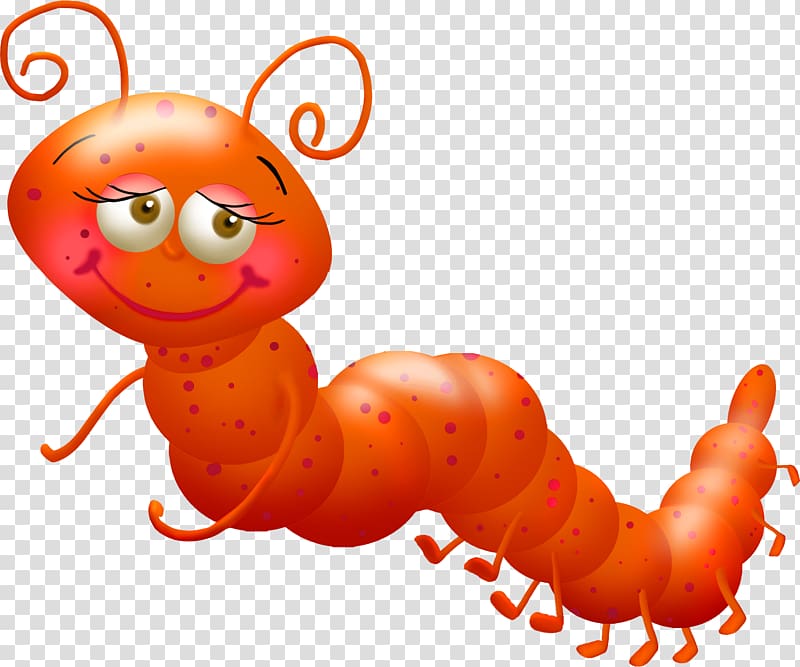 Insect Drawing , worm transparent background PNG clipart