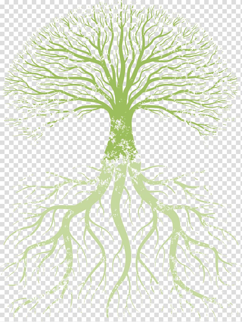 tree of life with roots clipart