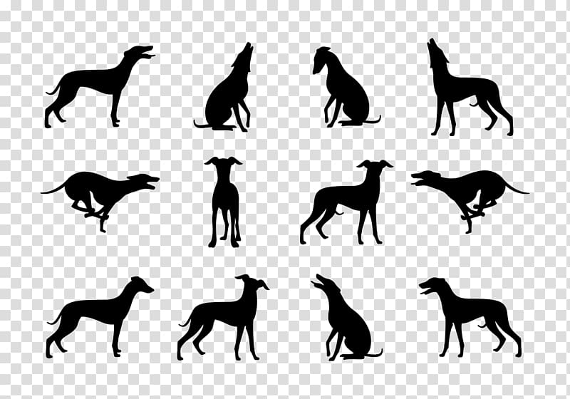 Whippet Greyhound Silhouette Dog breed, Silhouette transparent background PNG clipart