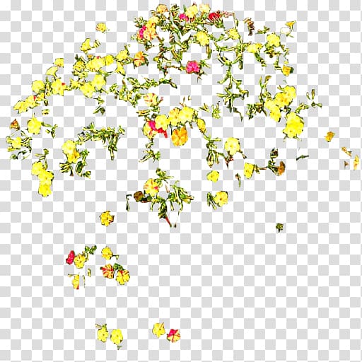 Petal Cut flowers Floral design, flower transparent background PNG clipart