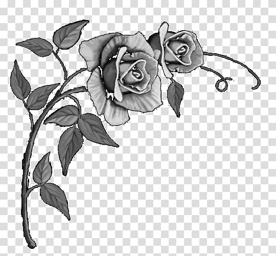 Garden roses Headstone Floral design Sketch, rose left transparent background PNG clipart