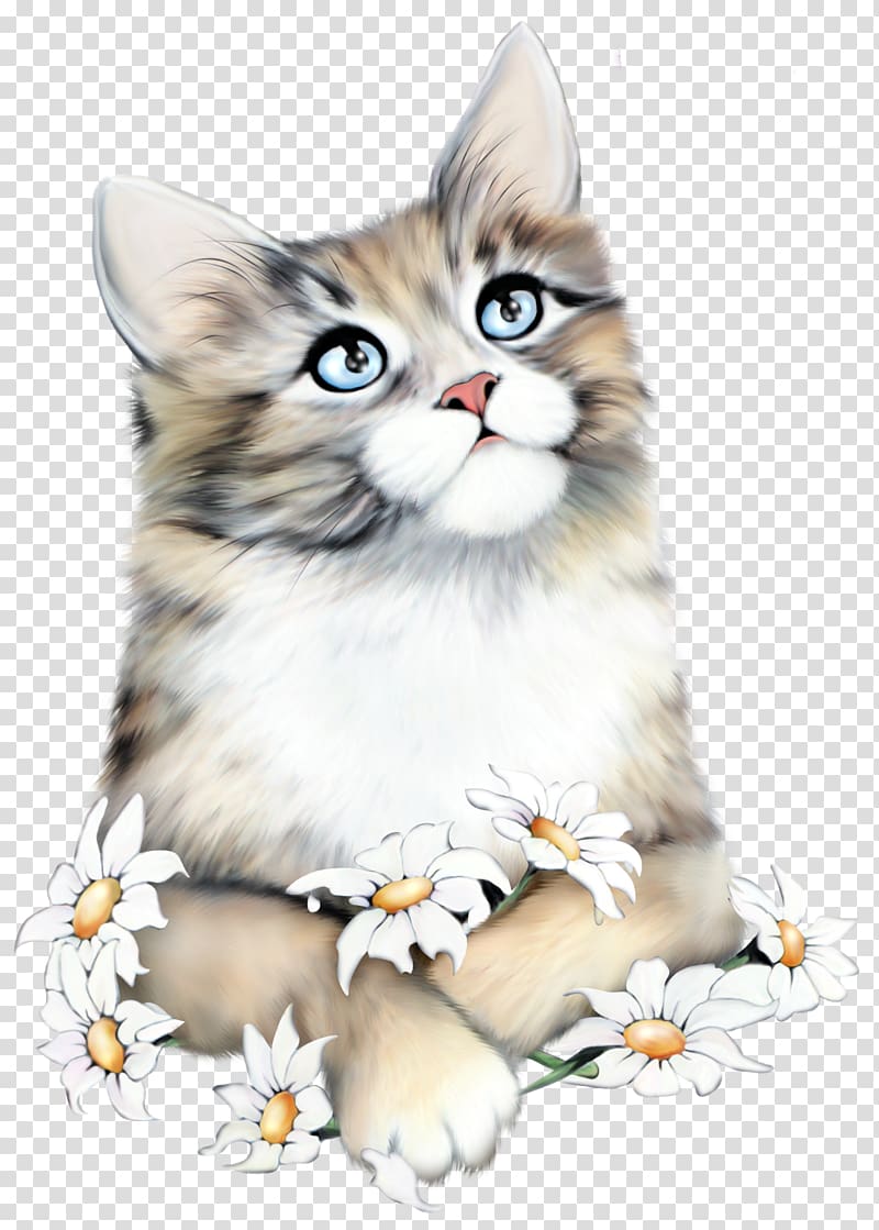 Cat Kitten Love Daytime Diary, cute cat transparent background PNG ...