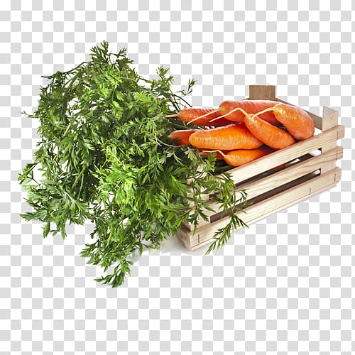 Carrot Vegetable Vegetarian cuisine Fruit Food, fresh vegetables transparent background PNG clipart