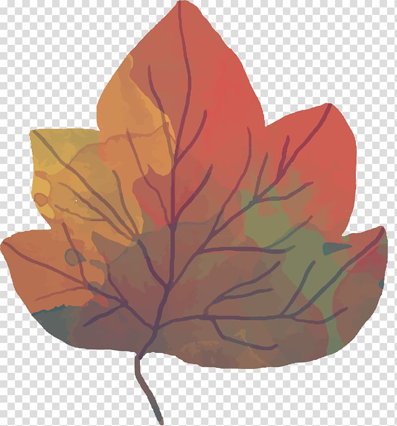 Maple leaf Autumn, Autumn maple leaf design transparent background PNG clipart