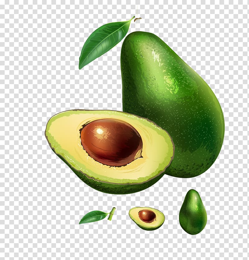 Hass avocado Vegetarian cuisine Illustration, Papaya transparent background PNG clipart