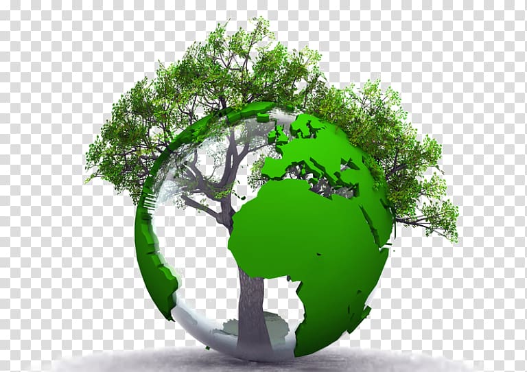 Sustainable development Environmental protection Natural environment Economic development Enjeu, natural environment transparent background PNG clipart