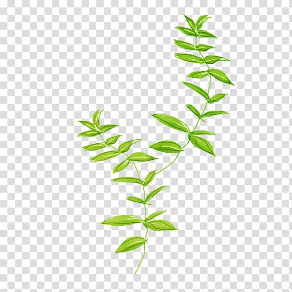 Green Pattern, Green leaves transparent background PNG clipart