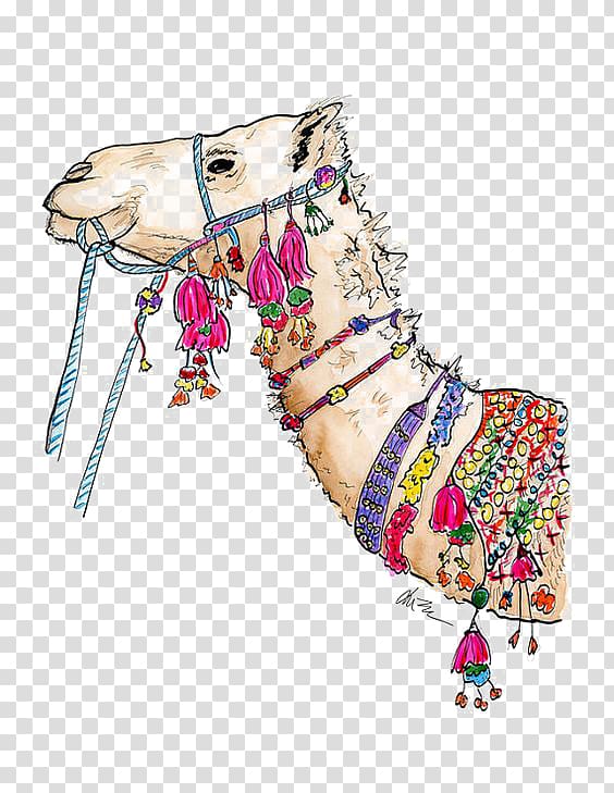white camel illustration, Camel White Box Drawing Illustration, camel transparent background PNG clipart