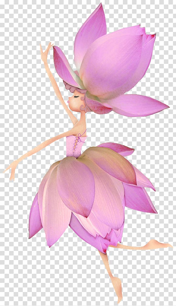 two pink lotus flowers, Euclidean , Lotus flower elf transparent background PNG clipart