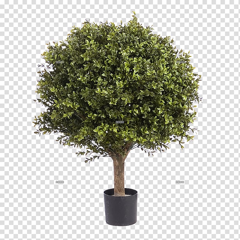 Tree Flowerpot Artificial flower Olive, broken pot transparent background PNG clipart