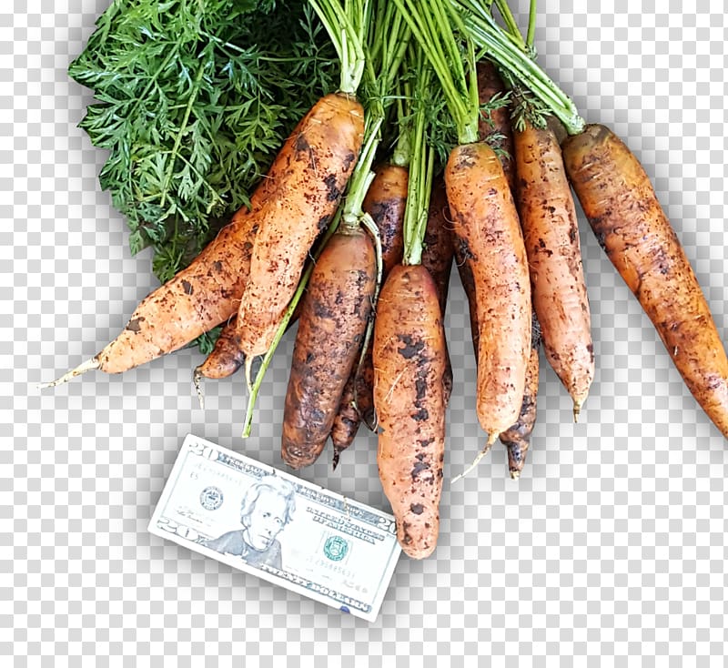 Animal source foods Vegetable Carrot, Carrots transparent background PNG clipart