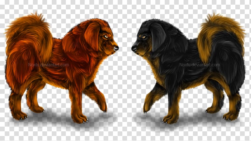 Tibetan Mastiff English Mastiff Dog breed Canidae Puppy, tibetan transparent background PNG clipart