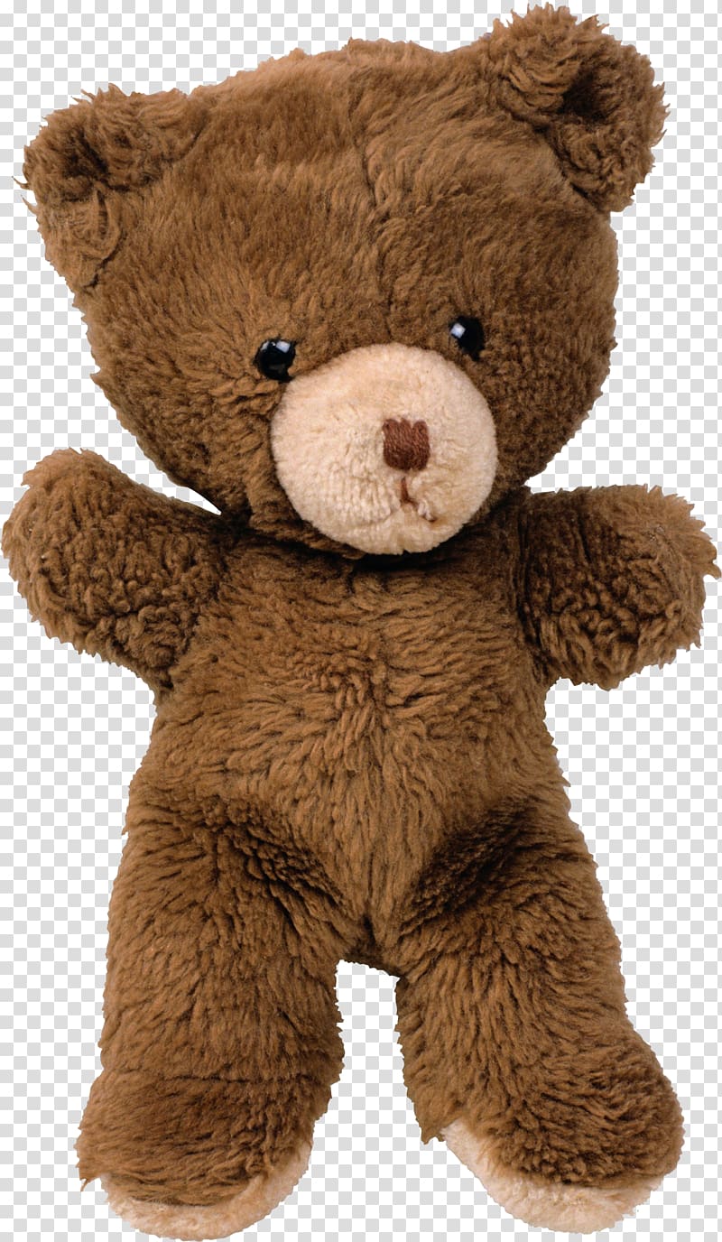 Teddy bear transparent background PNG clipart