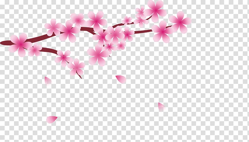 National Cherry Blossom Festival Cerasus, Cherry blossoms transparent background PNG clipart