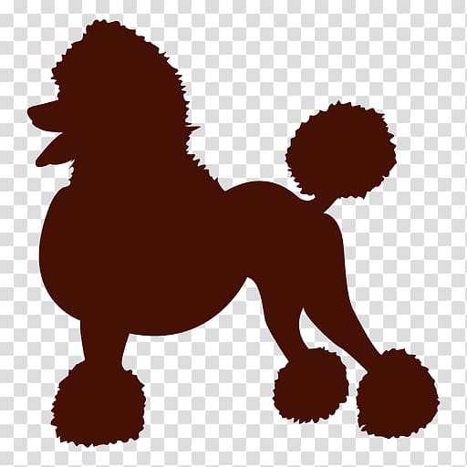 Standard Poodle Puppy Pug , flat christmas illustration transparent background PNG clipart