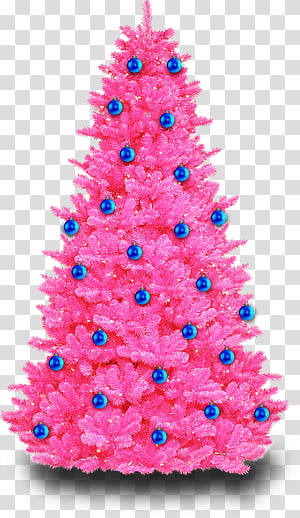 Christmas tree, Pink Plant transparent background PNG clipart thumbnail