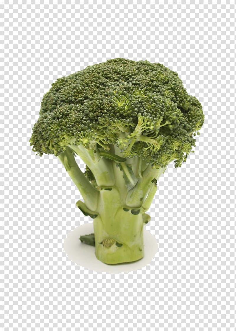 Broccoli Vegetable Food Health Cauliflower, cauliflower transparent background PNG clipart