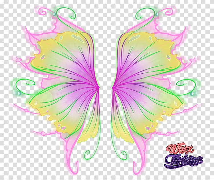 Flora Tecna Bloom Musa Mythix, others transparent background PNG clipart